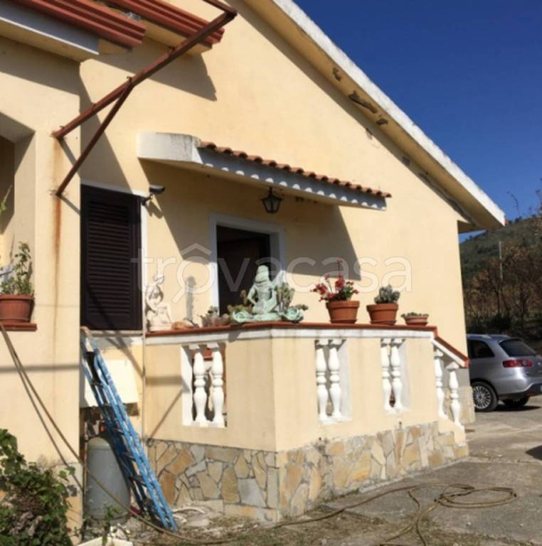 immagine annuncio 4 di 11