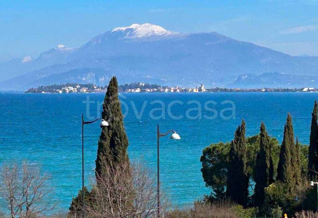 immagine annuncio 1 di 14