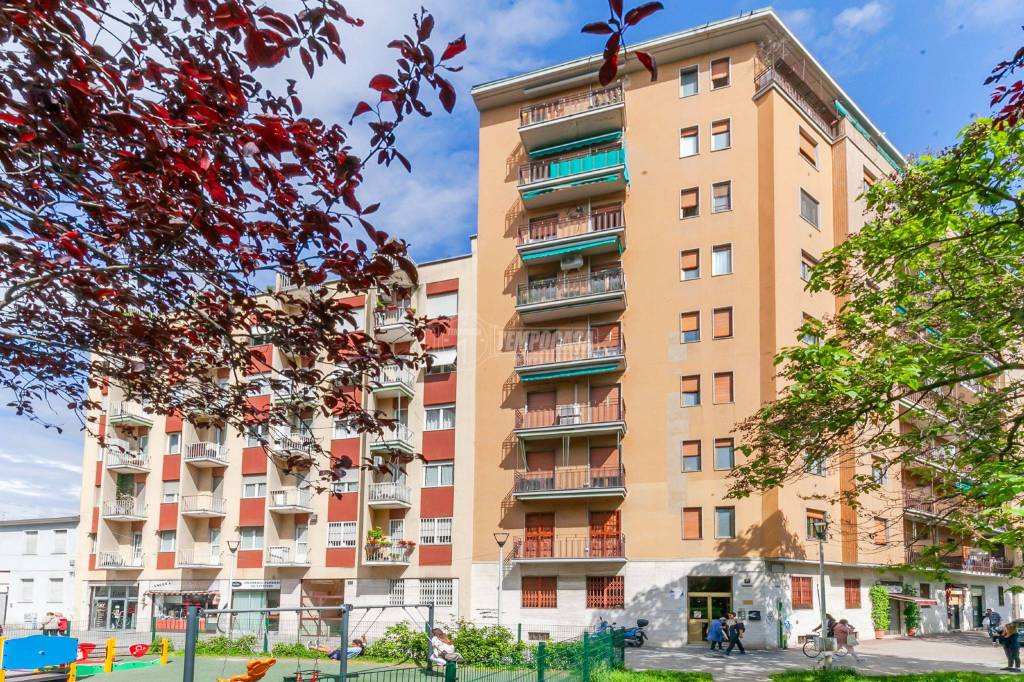 immagine annuncio 1 di 13