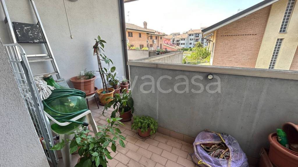 immagine annuncio 12 di 15