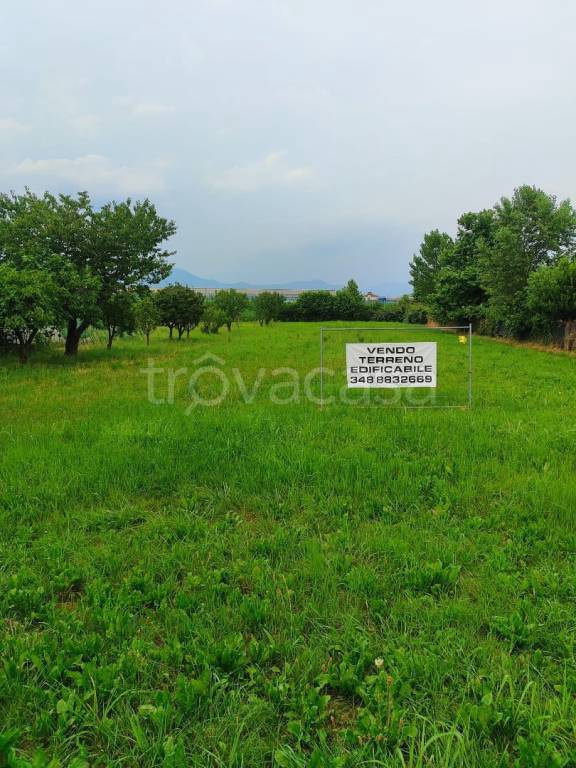 immagine annuncio 2 di 3