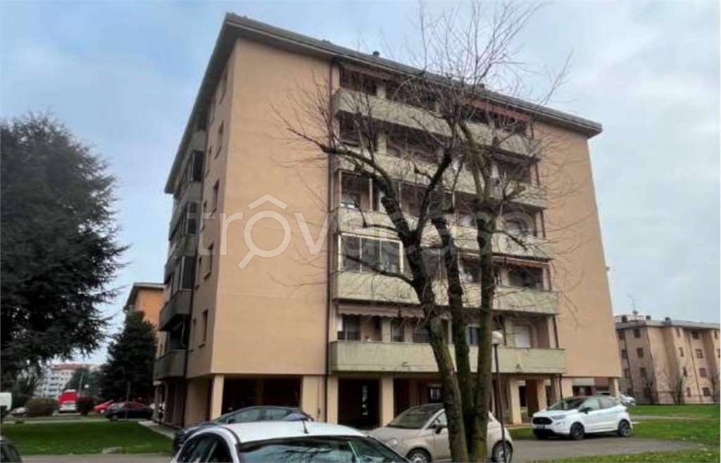 immagine annuncio 3 di 15