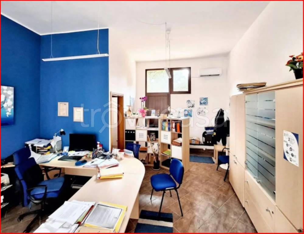 immagine annuncio 7 di 12