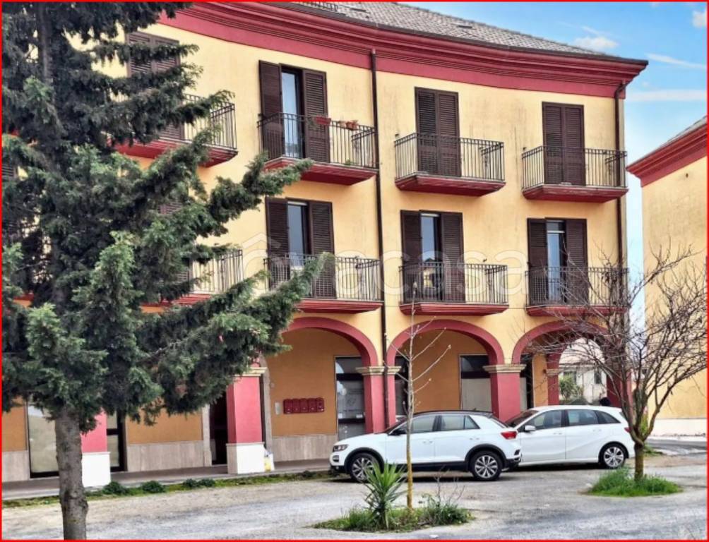 immagine annuncio 3 di 12