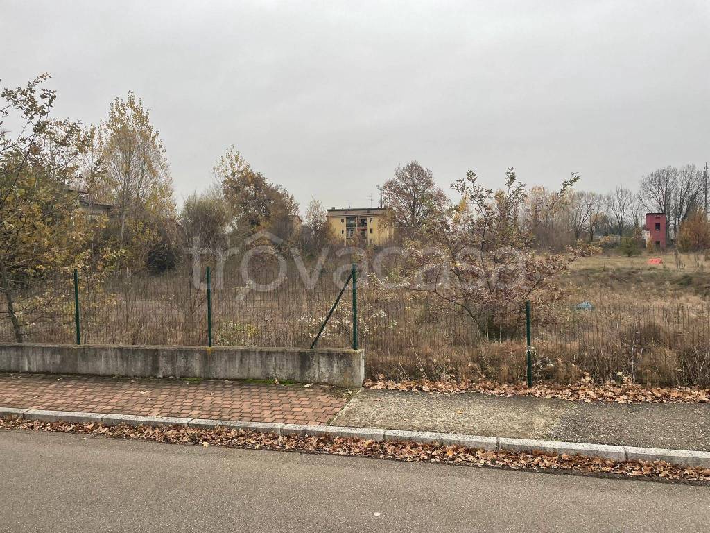 immagine annuncio 10 di 11