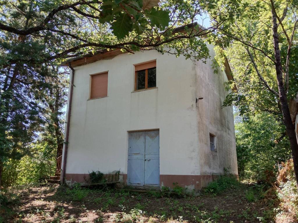 immagine annuncio 11 di 12