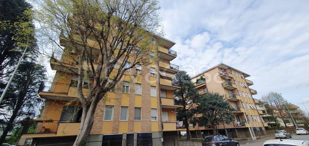 immagine annuncio 2 di 3