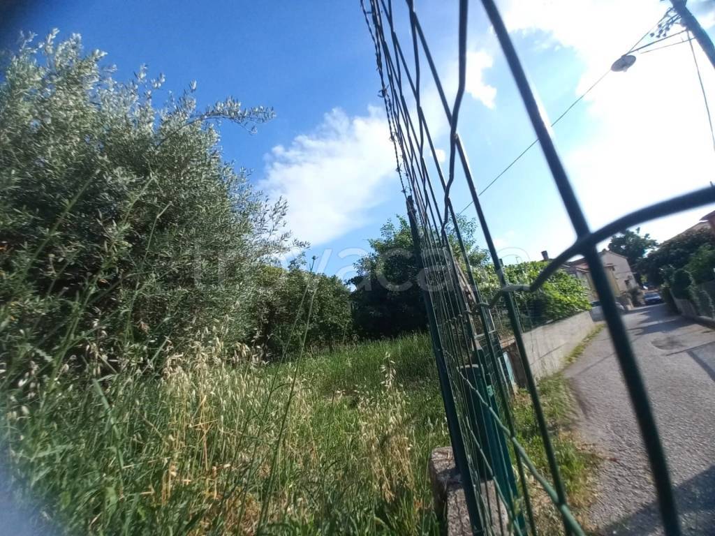 immagine annuncio 5 di 6