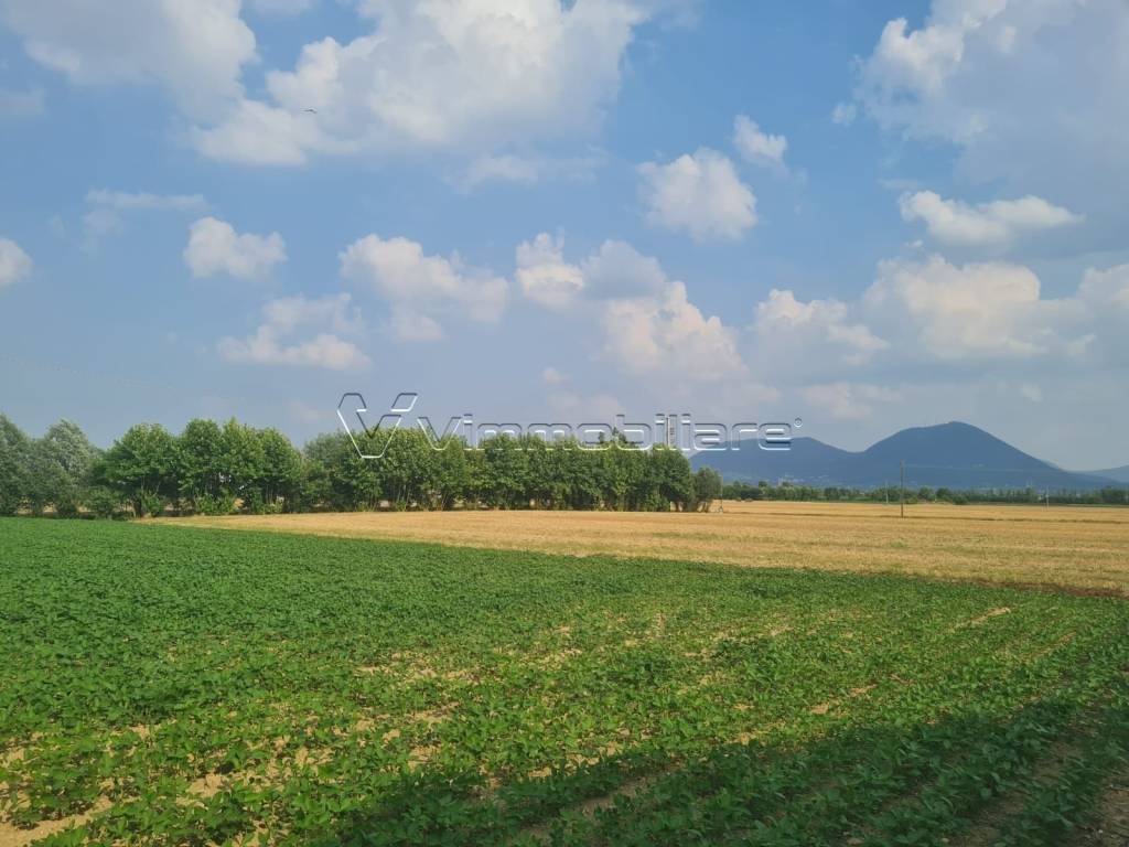 immagine annuncio 3 di 6