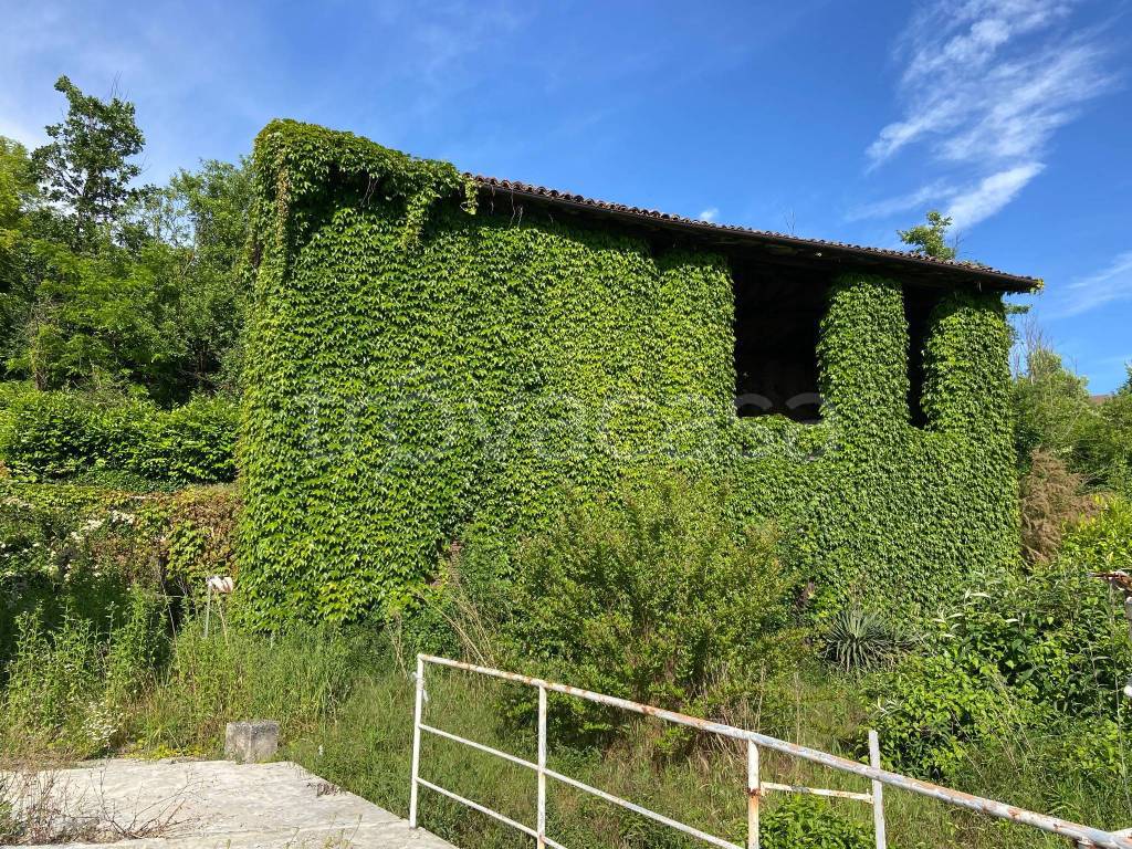 immagine annuncio 1 di 2