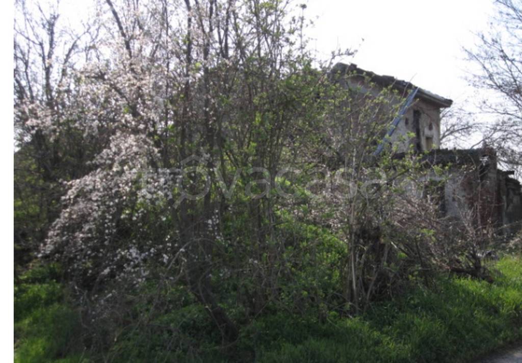 immagine annuncio 4 di 11