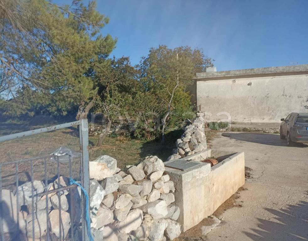 immagine annuncio 4 di 14
