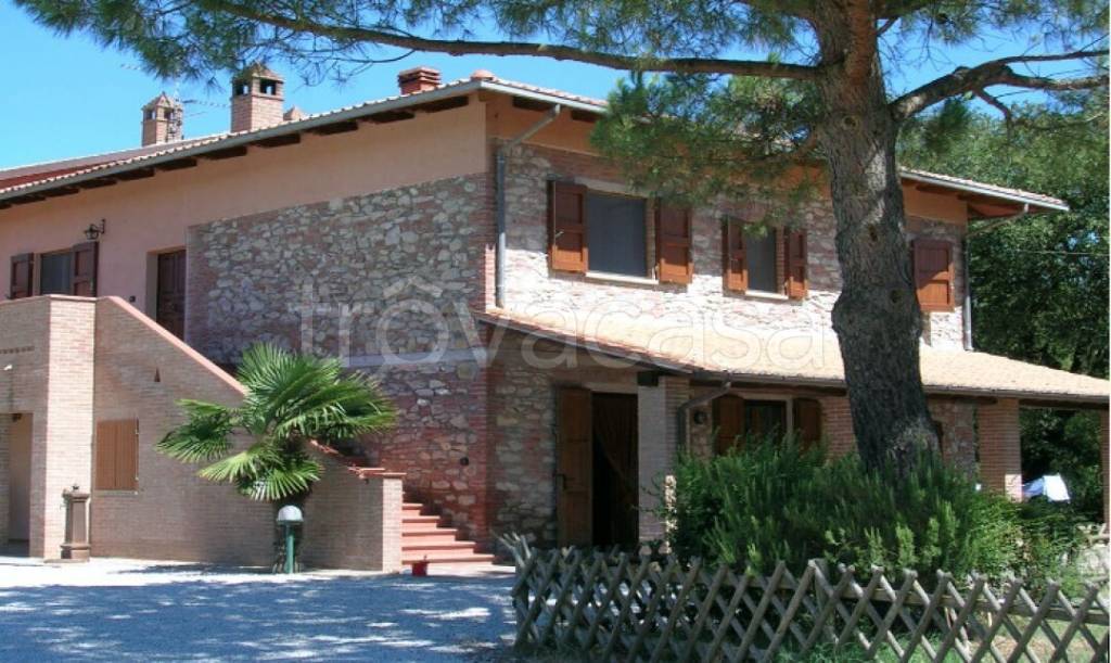 immagine annuncio 3 di 8