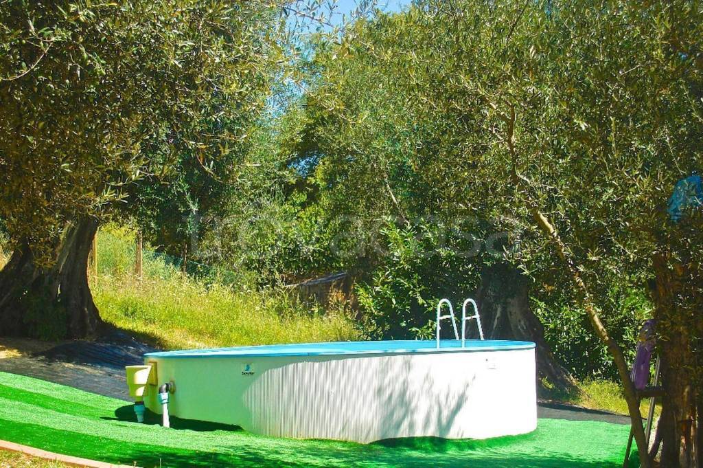 immagine annuncio 4 di 14