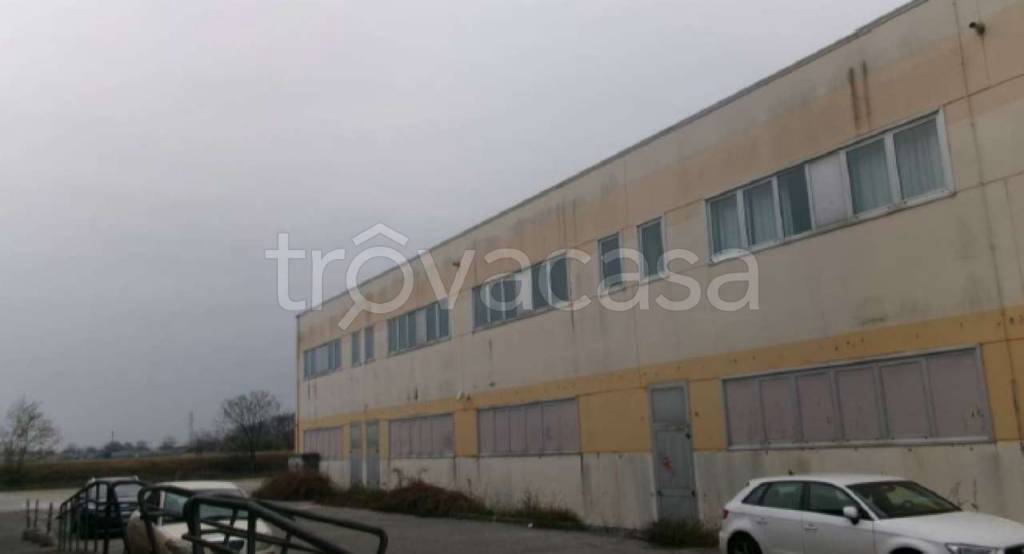 immagine annuncio 1 di 7