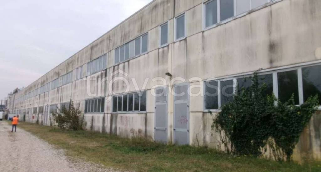 immagine annuncio 5 di 7