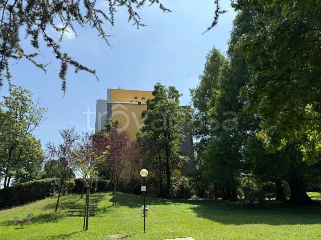 immagine annuncio 9 di 15
