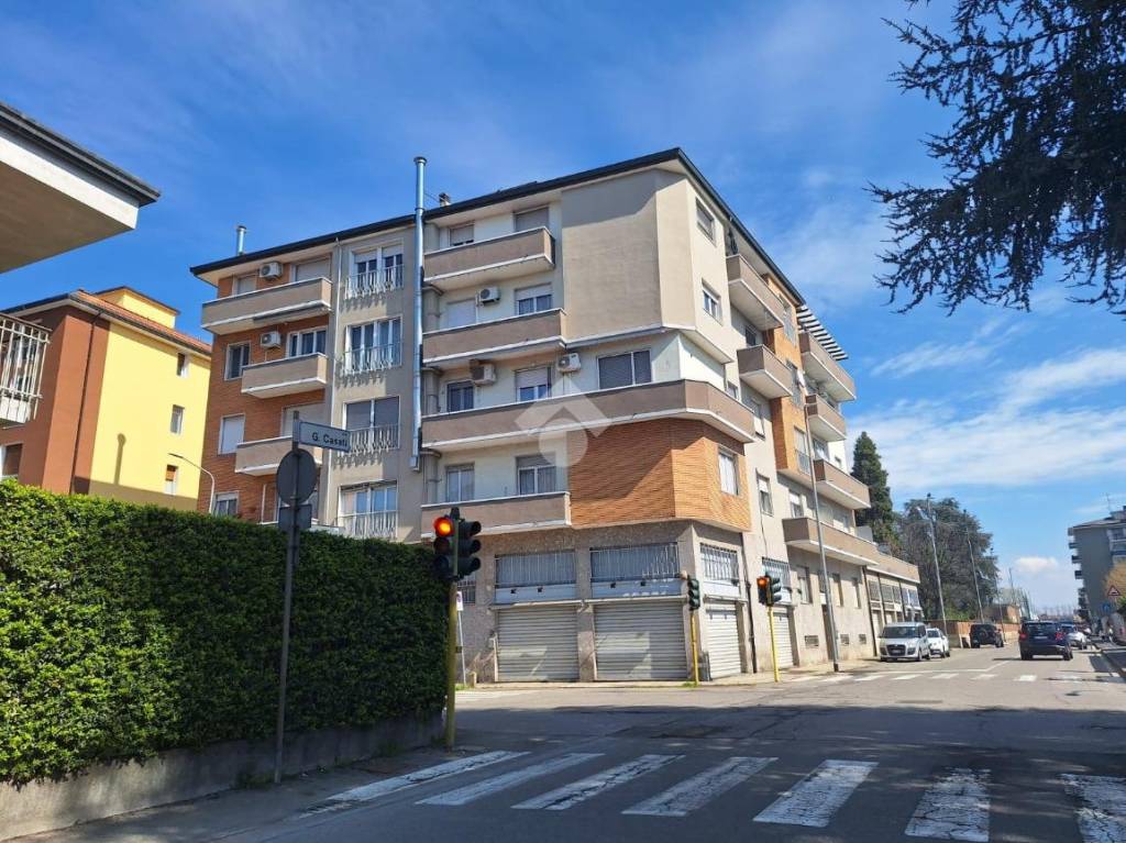 immagine annuncio 3 di 11