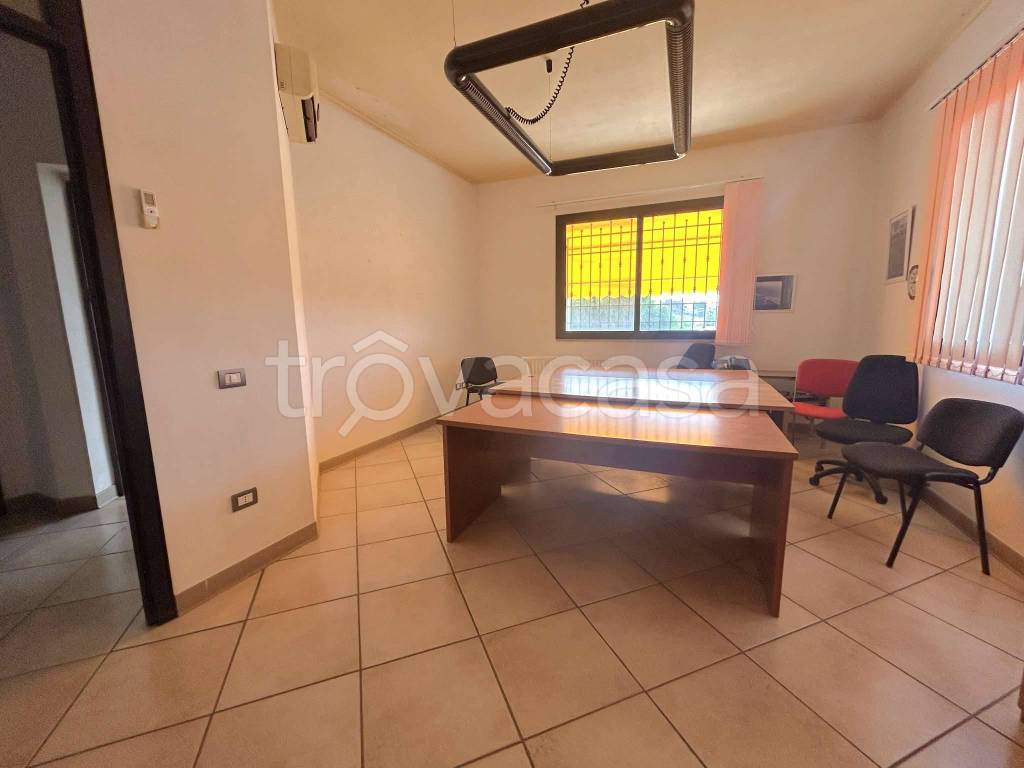 immagine annuncio 4 di 7