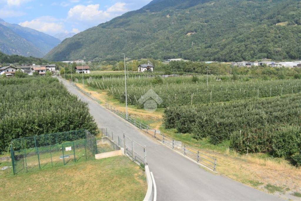 immagine annuncio 10 di 14