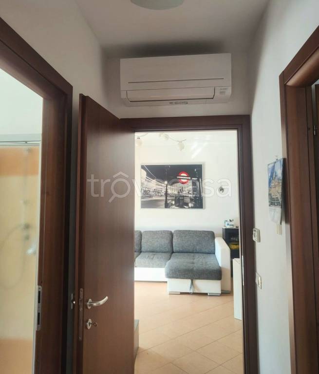 immagine annuncio 4 di 14