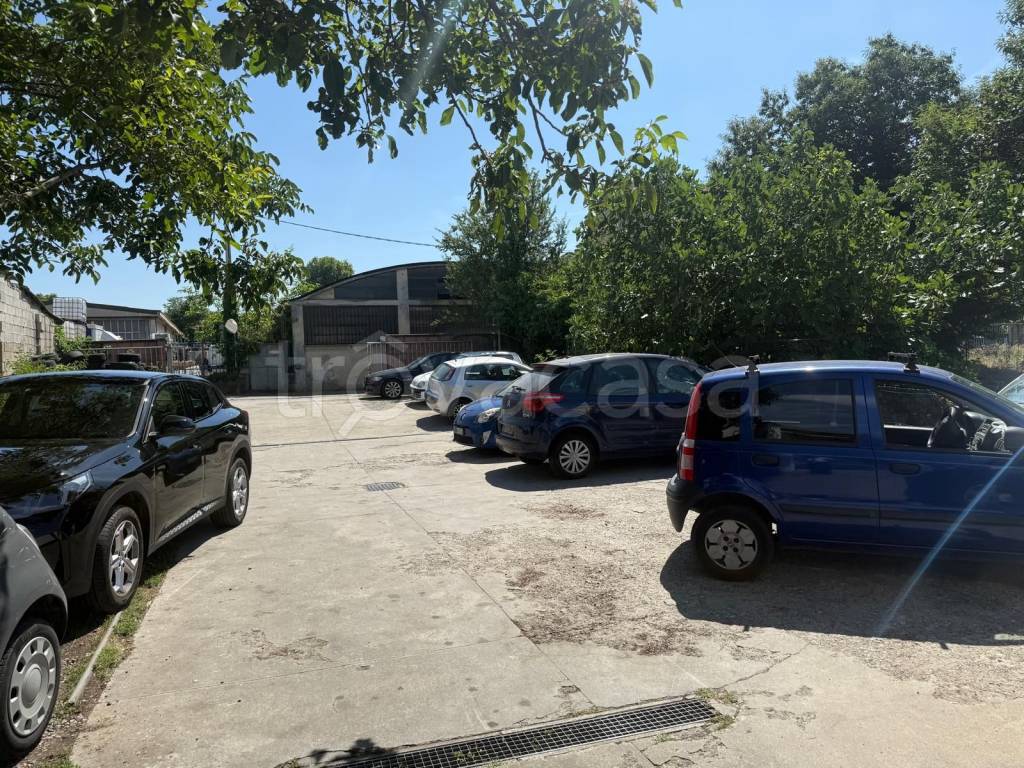 immagine annuncio 11 di 15