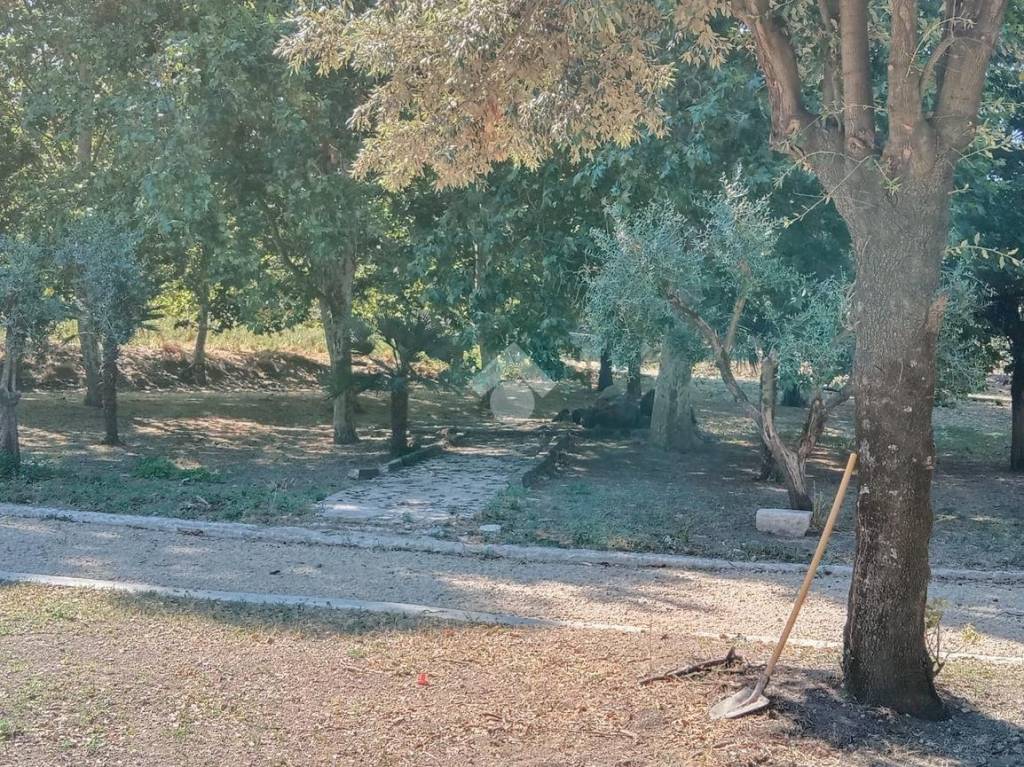 immagine annuncio 5 di 13