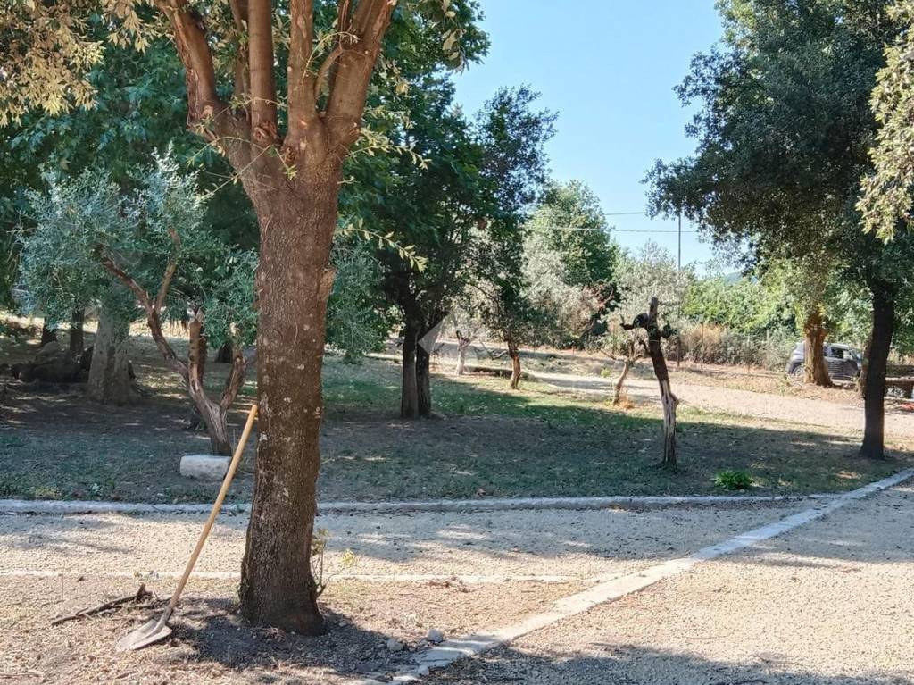 immagine annuncio 9 di 13