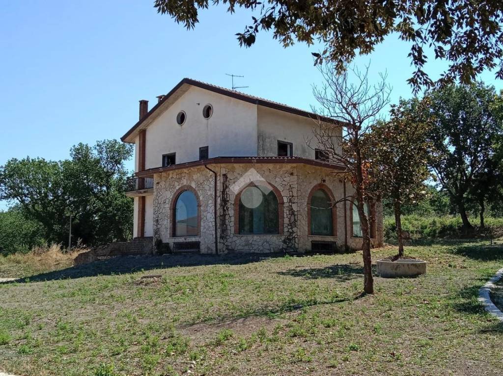 immagine annuncio 10 di 13