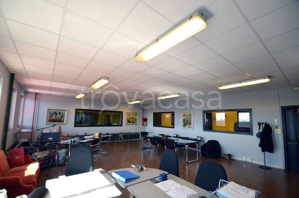 immagine annuncio 9 di 12