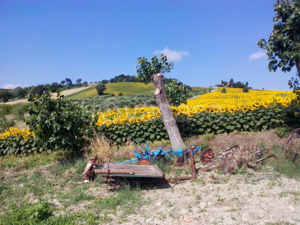 immagine annuncio 8 di 10