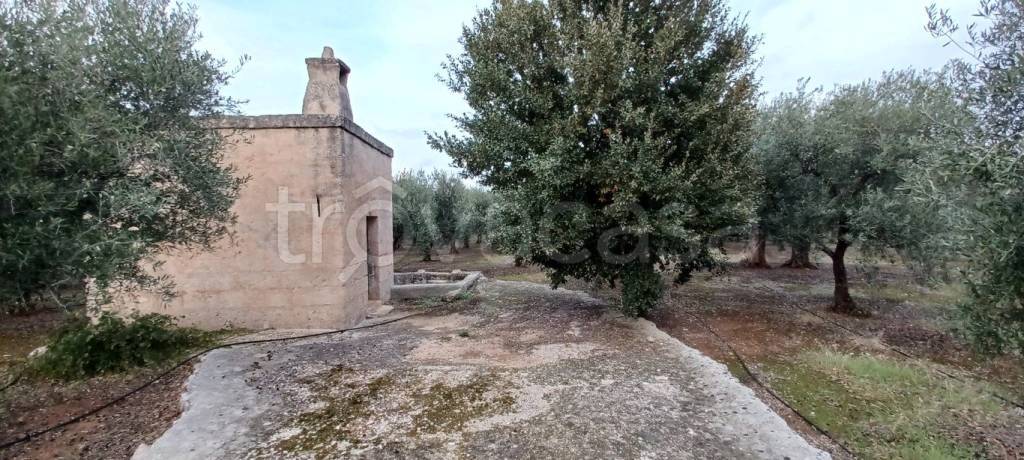 immagine annuncio 6 di 7