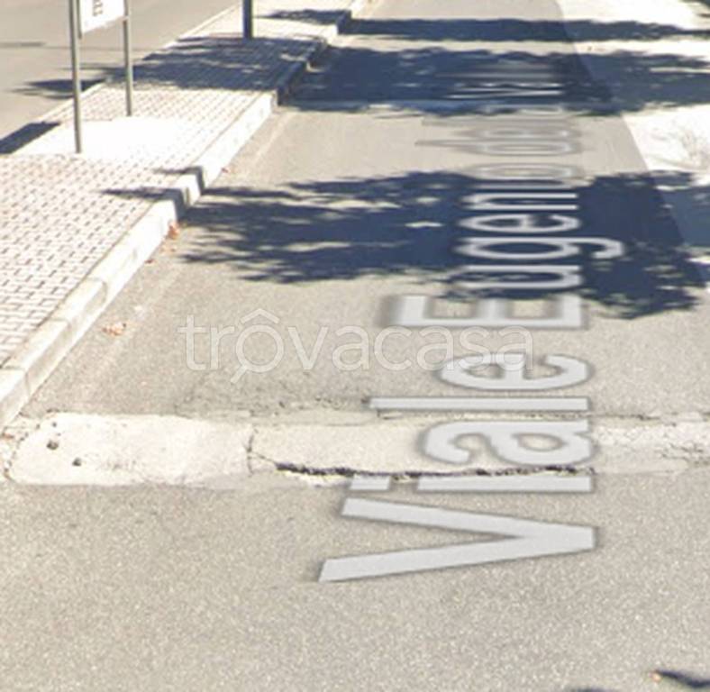 immagine annuncio 1 di 12