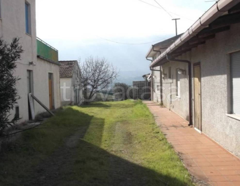 immagine annuncio 8 di 11