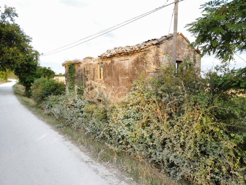 immagine annuncio 7 di 12