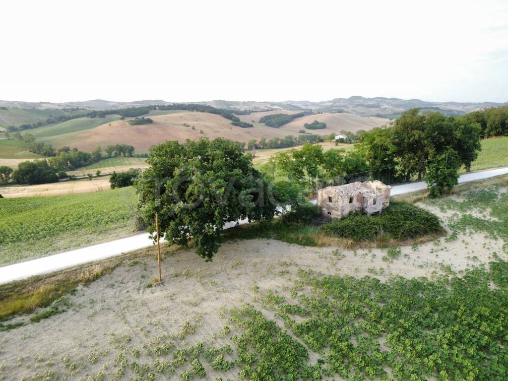 immagine annuncio 5 di 12