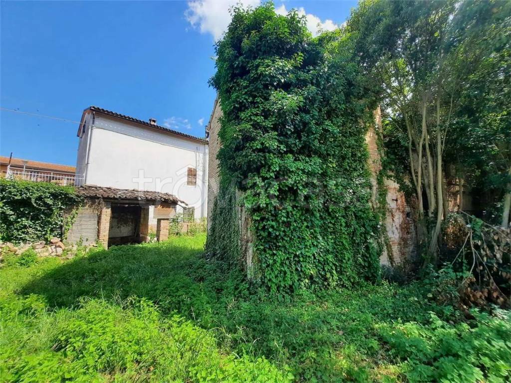 immagine annuncio 1 di 8