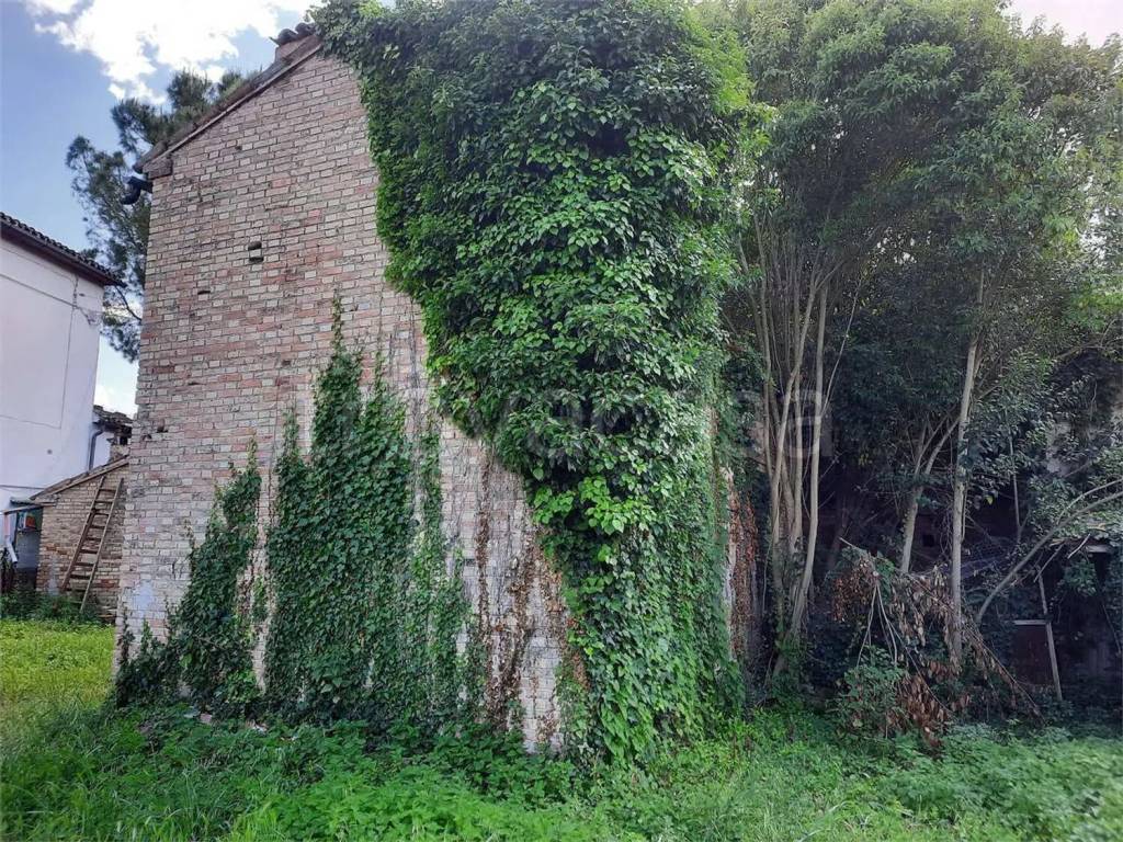 immagine annuncio 7 di 8