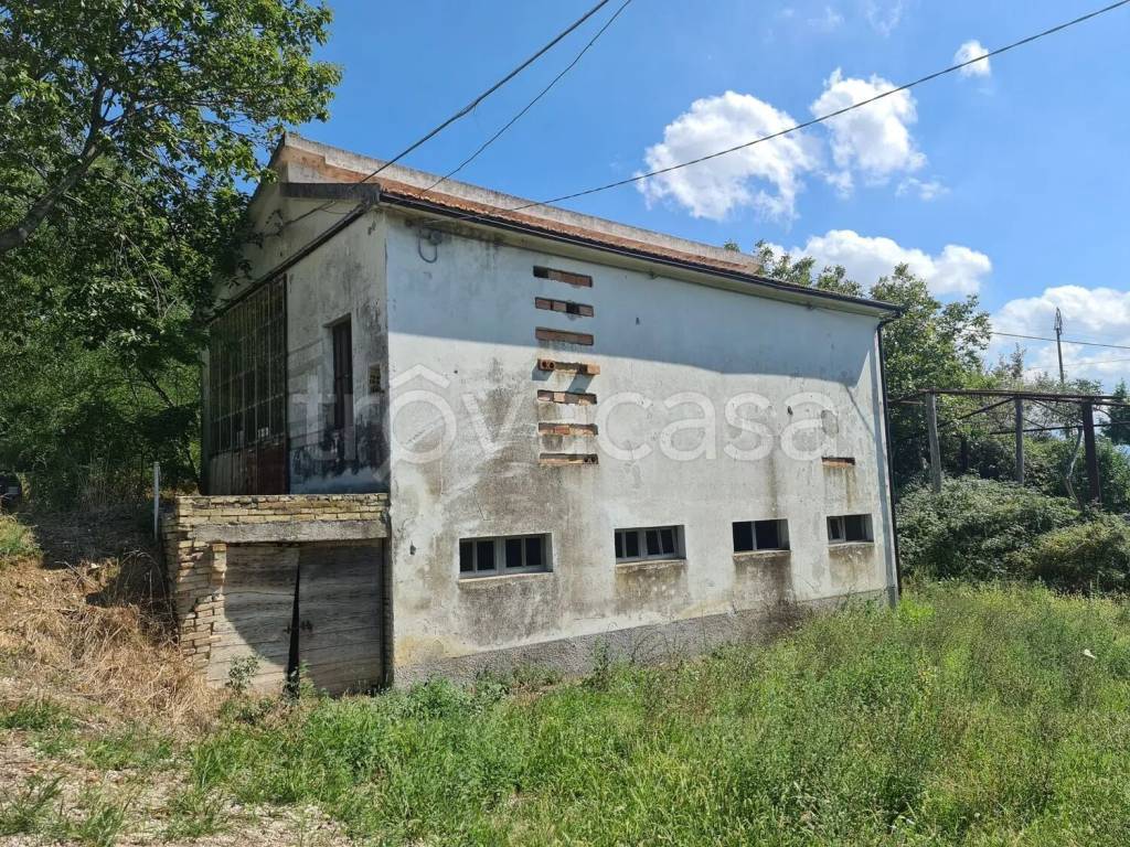 immagine annuncio 2 di 13