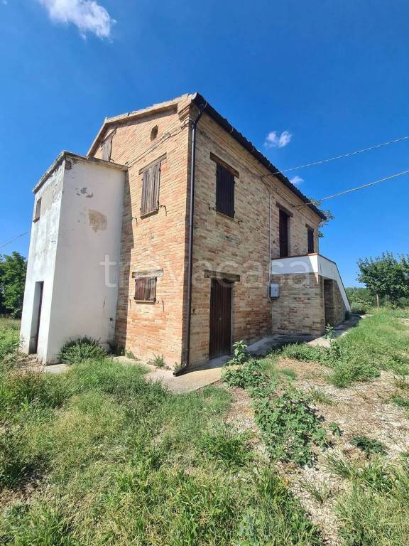 immagine annuncio 3 di 13