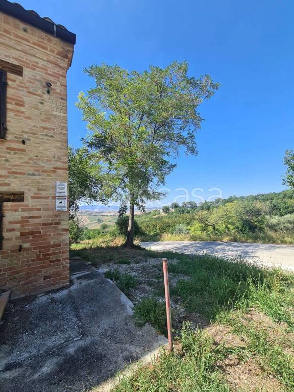 immagine annuncio 9 di 13