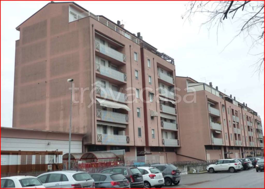 immagine annuncio 2 di 12