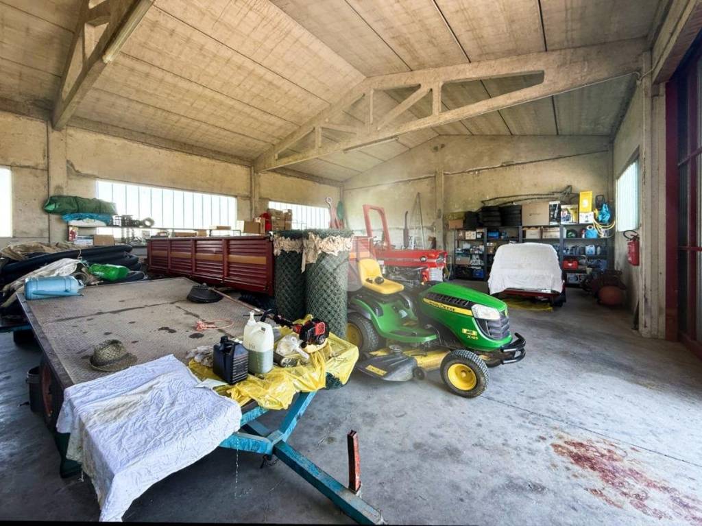 immagine annuncio 4 di 15