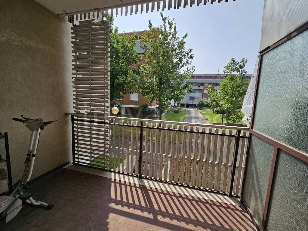 immagine annuncio 10 di 12