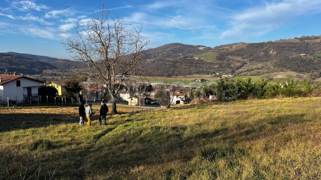 immagine annuncio 3 di 6