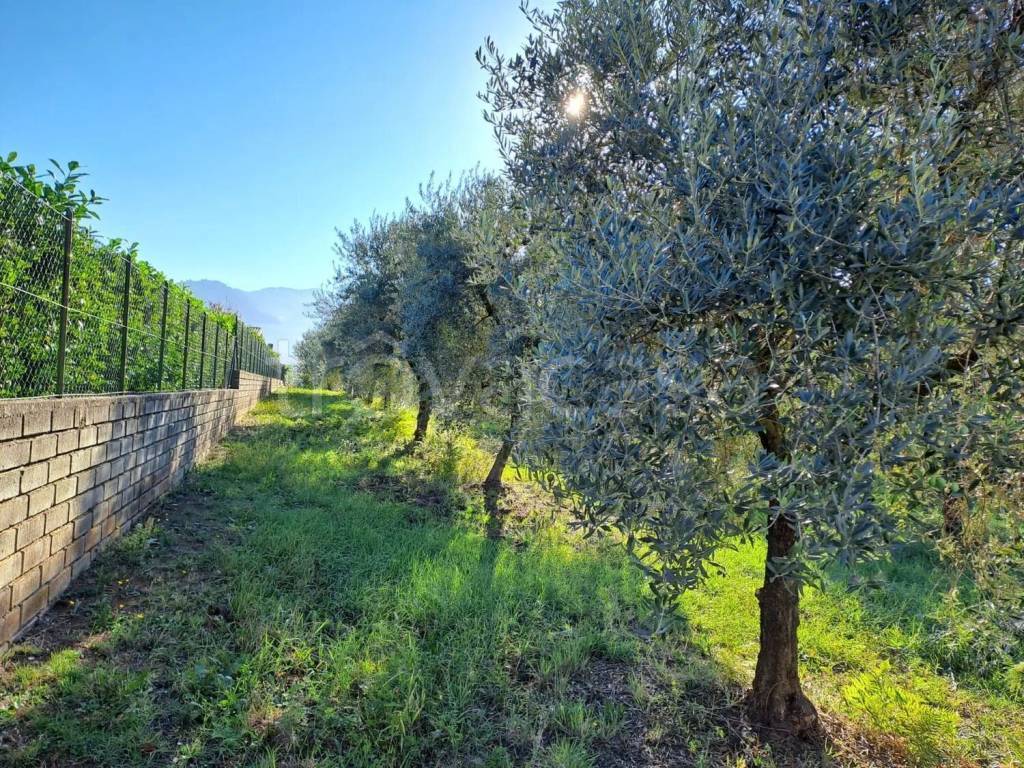 immagine annuncio 3 di 4