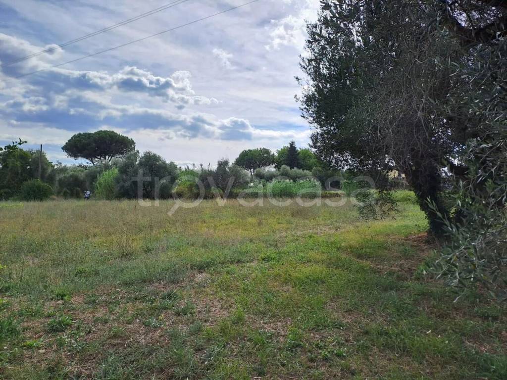 immagine annuncio 5 di 9