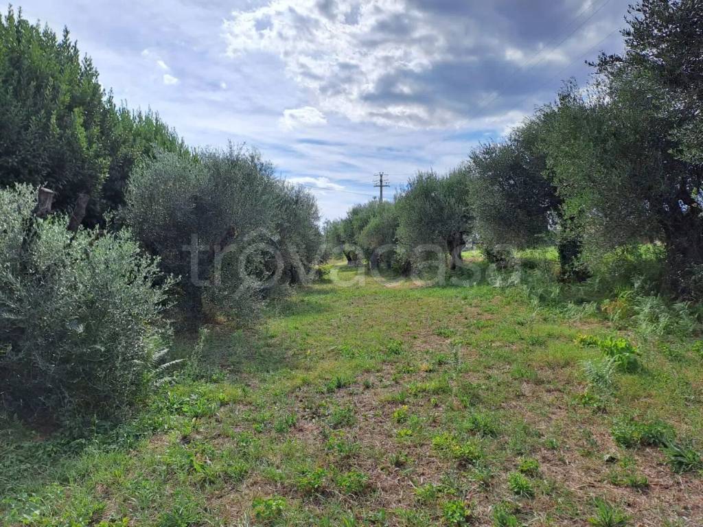 immagine annuncio 8 di 9