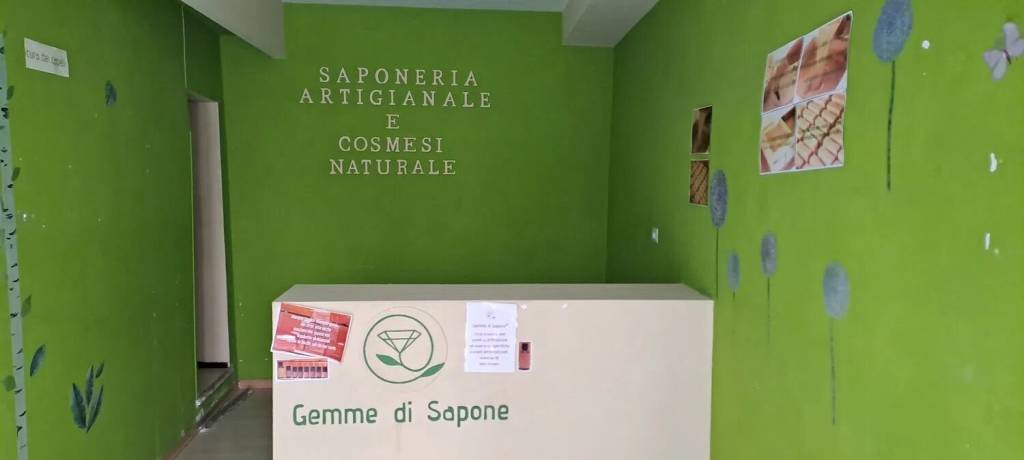 immagine annuncio 3 di 7