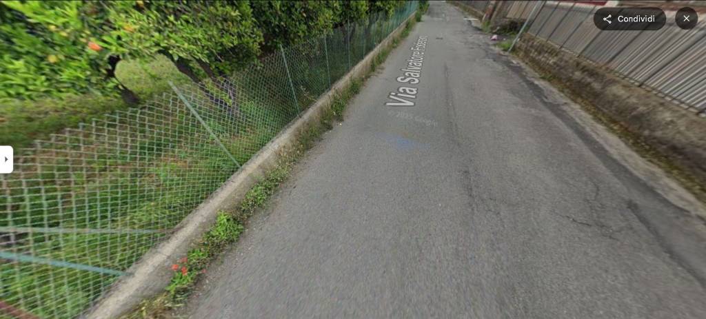 immagine annuncio 3 di 13